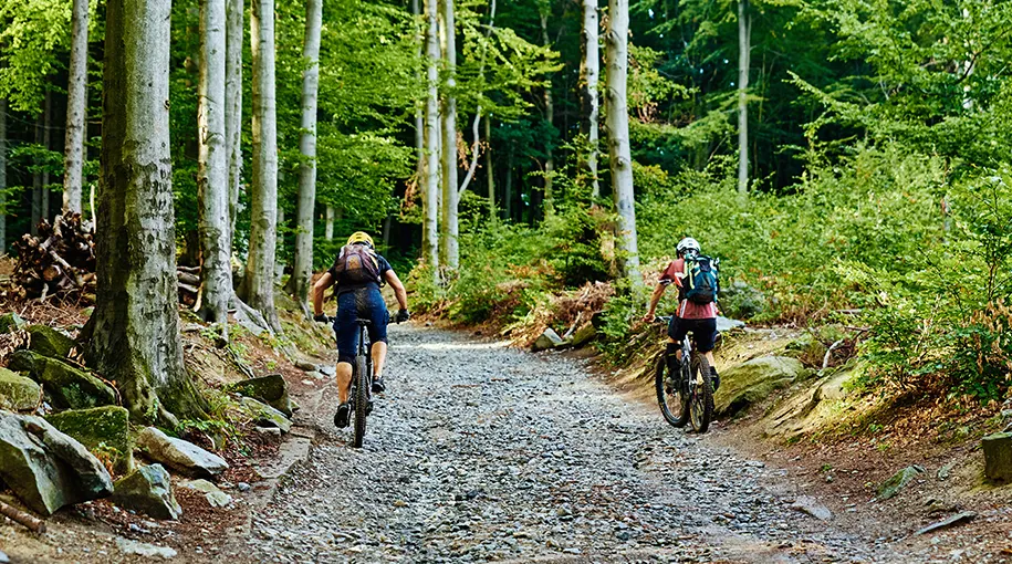 bicicletas eléctricas selva de irati